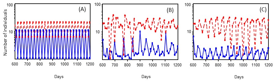 model simulations